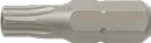 1/4" × 25mm Tamper Star Bits (Bits), item BO050A21A31L – BO450A21A31L